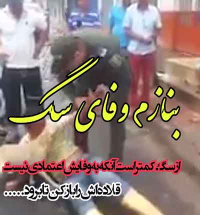 دانلود کلیپ غمگین وفاداری سگ بامرام