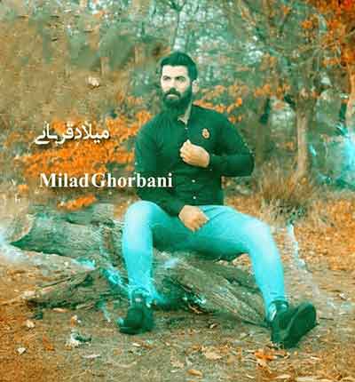 آهنگ شلوار پلنگی از میلاد قربانی