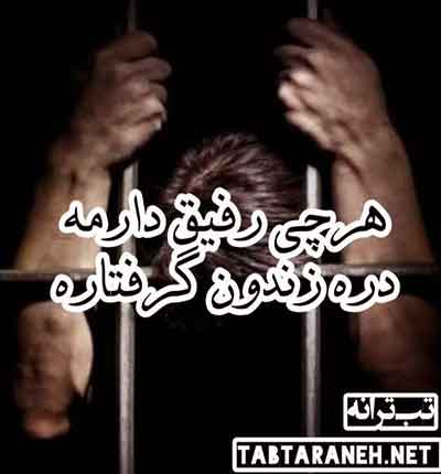 توبه حسین رضایی