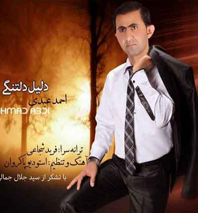 دلیل-دلتنگی-احمد-عبدی