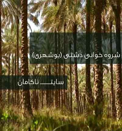 دانلود-شروه-فایز-دشتی