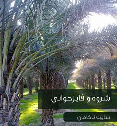 دانلود شروه فایز دشتی