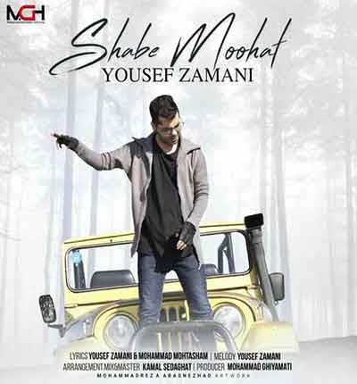 شب-موهات آخه-دیونتمو-زدی-دلمو-یوس