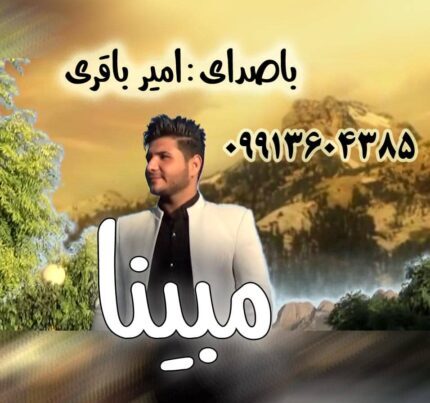 امیر باقری