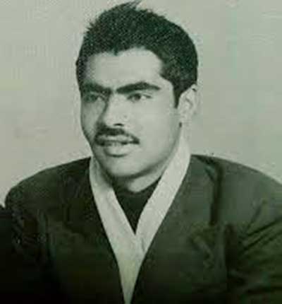 دانلود آهنگ حال که دیوانه شدم از ساربان