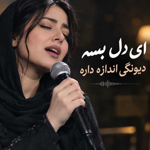 صدای زن ای دل بسه