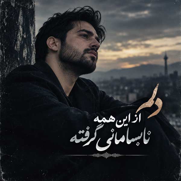 دلم از این همه نابسامانی گرفته