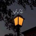 آهنگ هی میگم بسه دلم