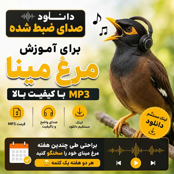 آموزش سخنگو کردن مرغ مینا