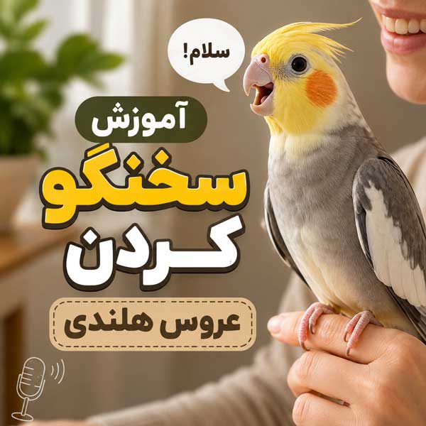 آموزش سخنگو کردن عروس هلندی