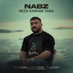 نبض رضا کرمی