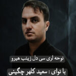 دل زینب هیرو از سعید کلهر چگینی