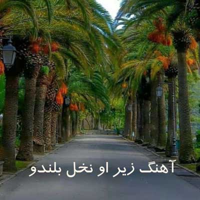 آهنگ زیر او نخل بلندو