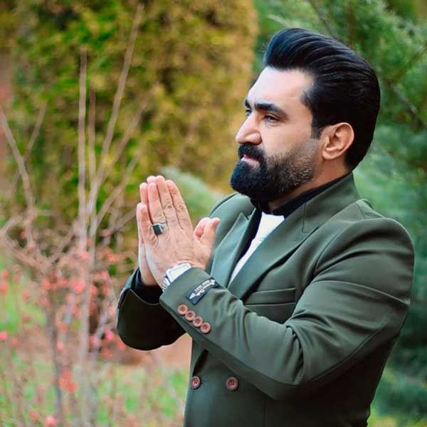 انارکی امیر شهرایینی