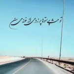 تو مثل پرستوها پر زدی