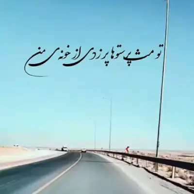 تو مثل پرستوها پر زدی