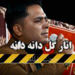 حجت غلامی انار گل