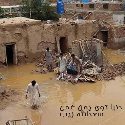 دنیا توی پمن غمی از سعدالله زیب