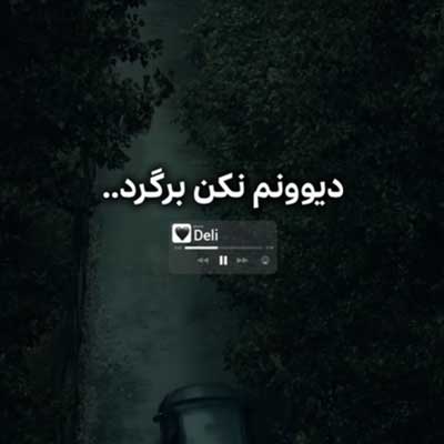 دیوونم نکن برگرد