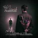 یکی میخوام که اهل نارفیق رضا نیکفرجام نمک نشناس
