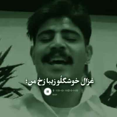 غزال خوشگل و زیبارخ من