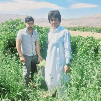 فرزاد سالاری آهنگ