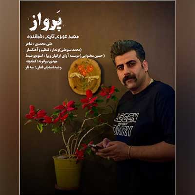 مجید عزیزی