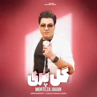 مرتضی جوان گلپری