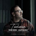 مهدی جهانی تنهاییام زیاد شده