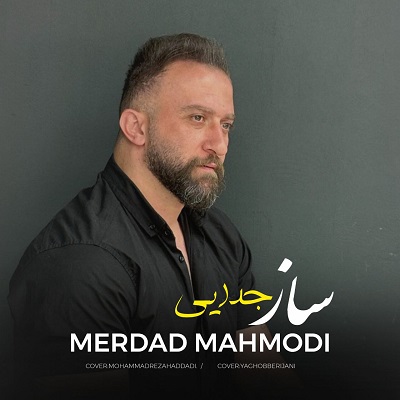 مهرداد محمودی