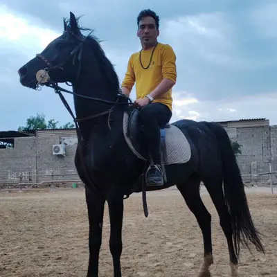 هومن پناهی مجنون نبودم