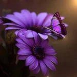 یبار میگم