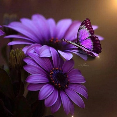 یبار میگم